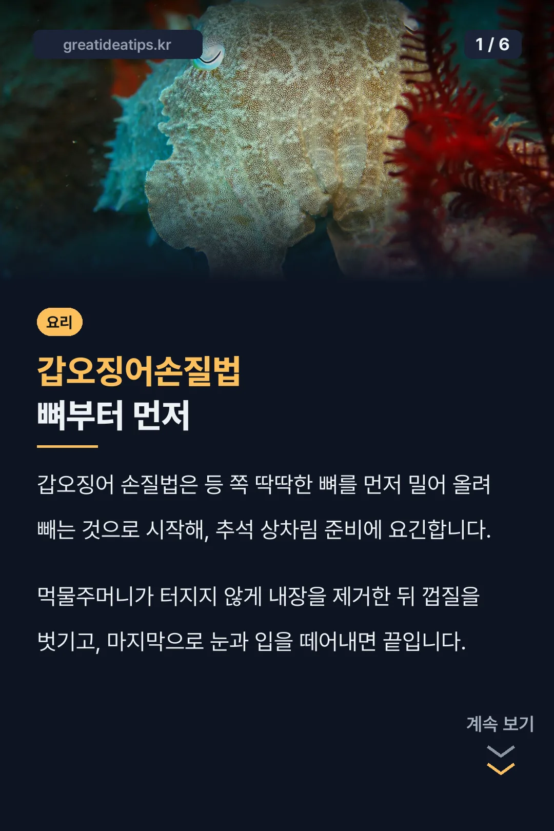 갑오징어손질법 뼈부터 먼저