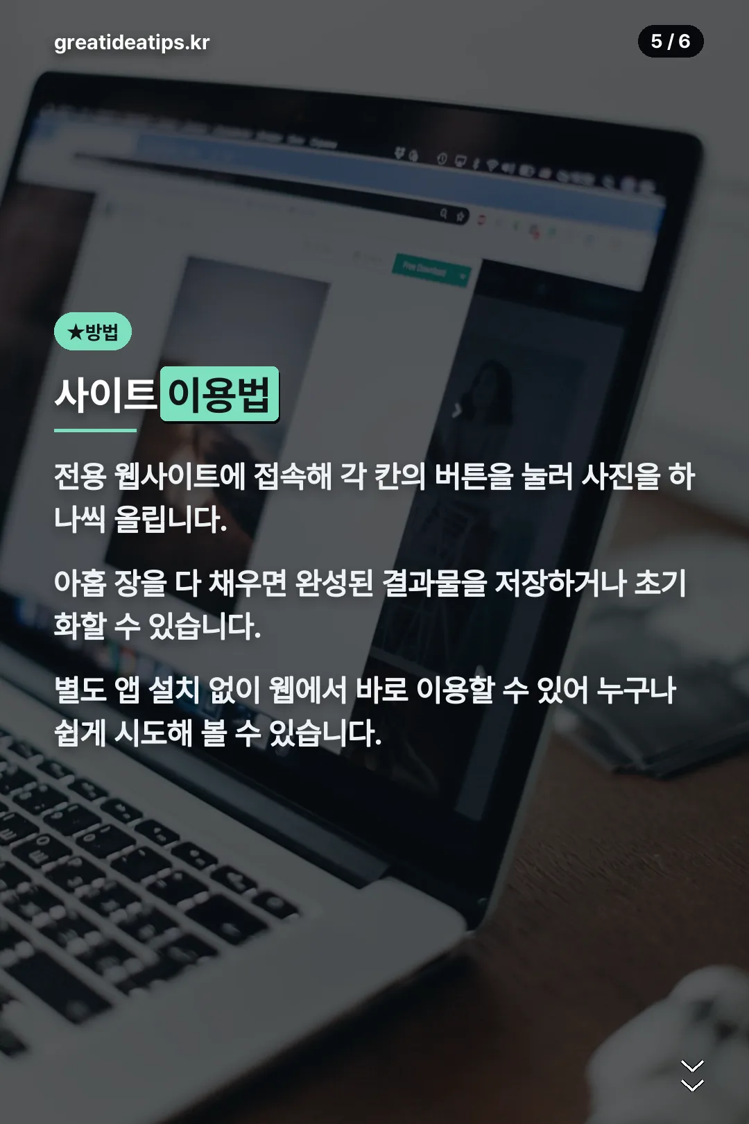 사이트 이용법