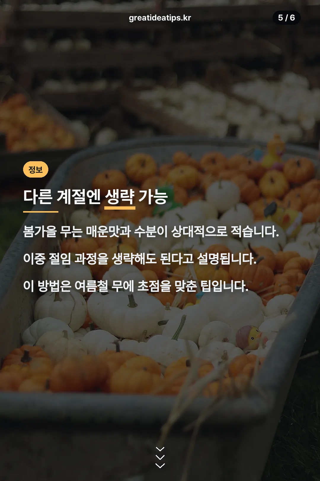 다른 계절과 차이