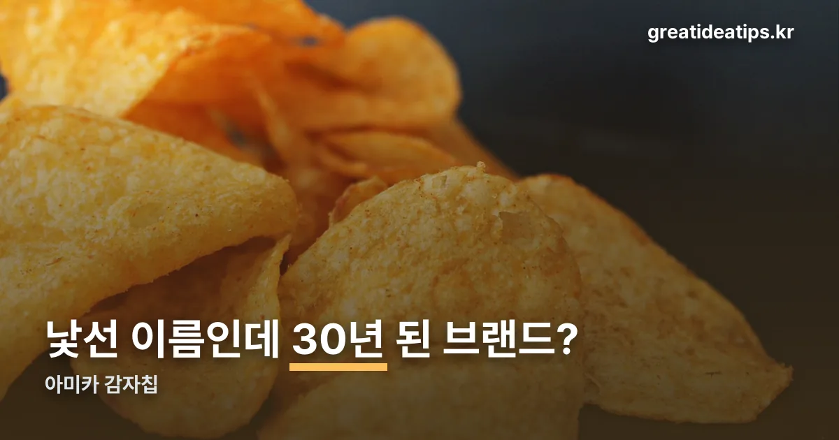 아미카 감자칩 정리 썸네일