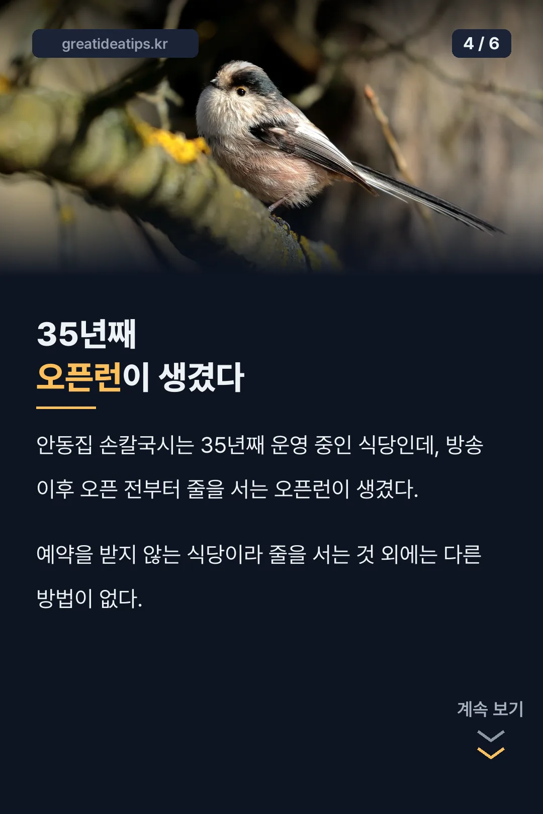 오픈런 반응