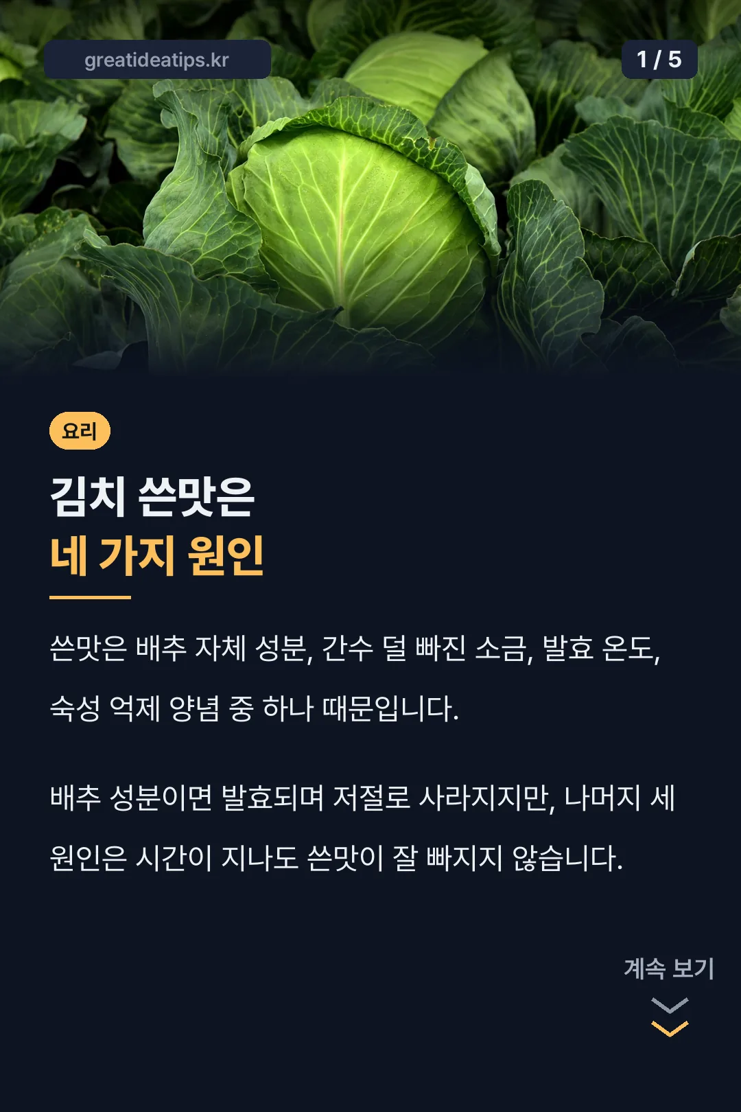 김치 쓴맛 원인 네 가지