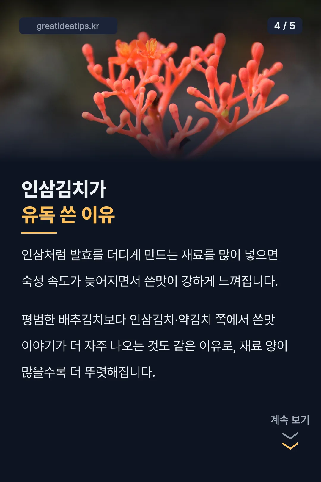 인삼김치가 쓴 이유