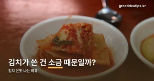 김치 쓴맛 나는 이유 — 버려야 할 때와 그냥 먹어도 될 때