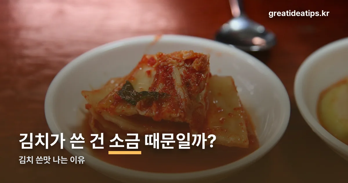 김치 쓴맛 정리 썸네일