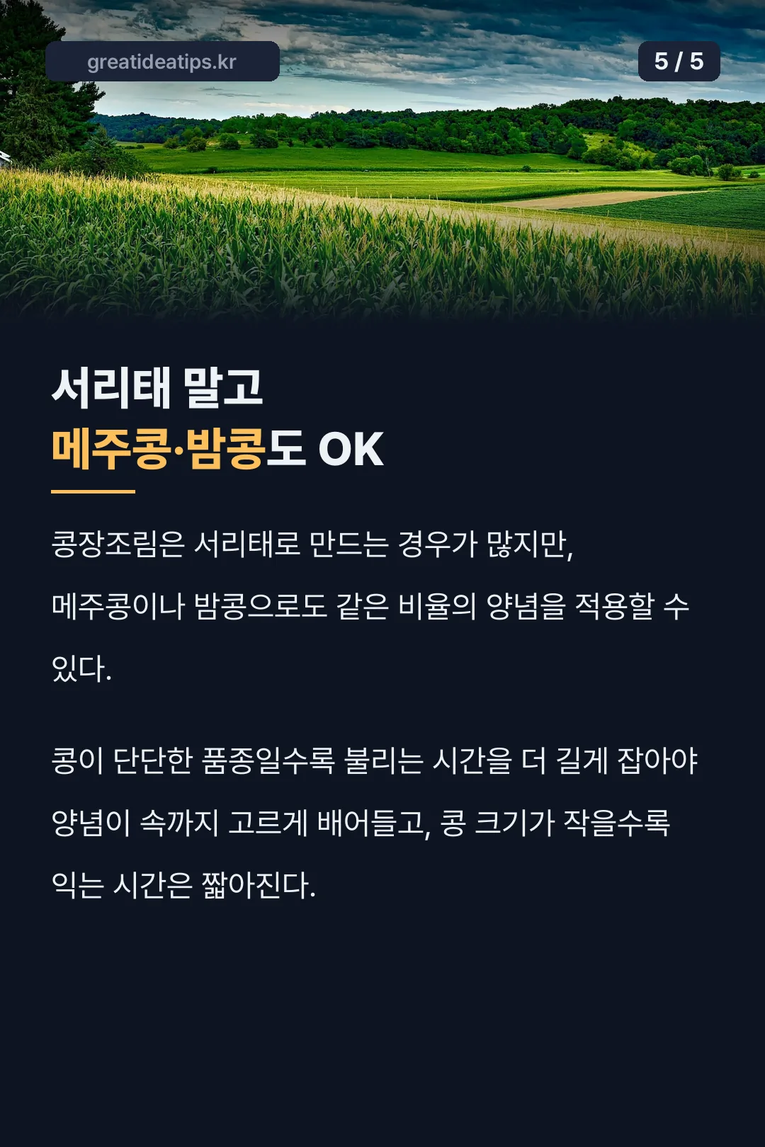 서리태 말고 메주콩·밤콩도 OK