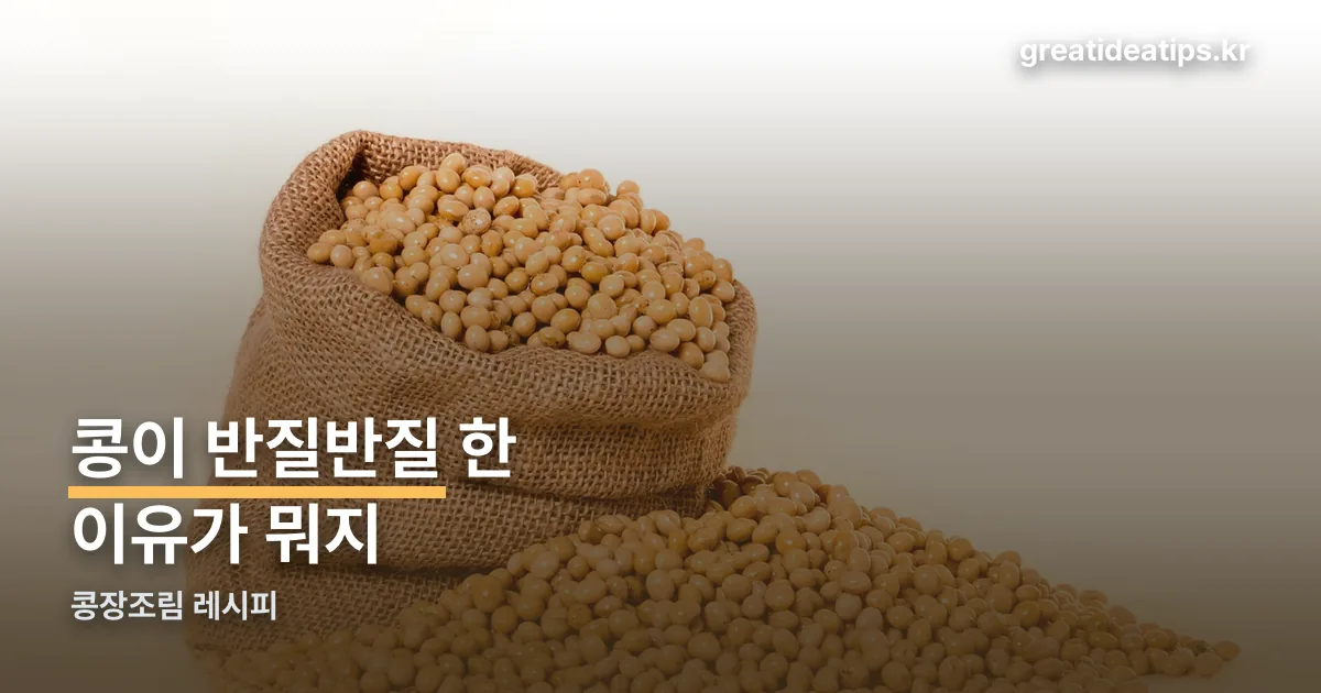 콩장조림 레시피 정리 썸네일