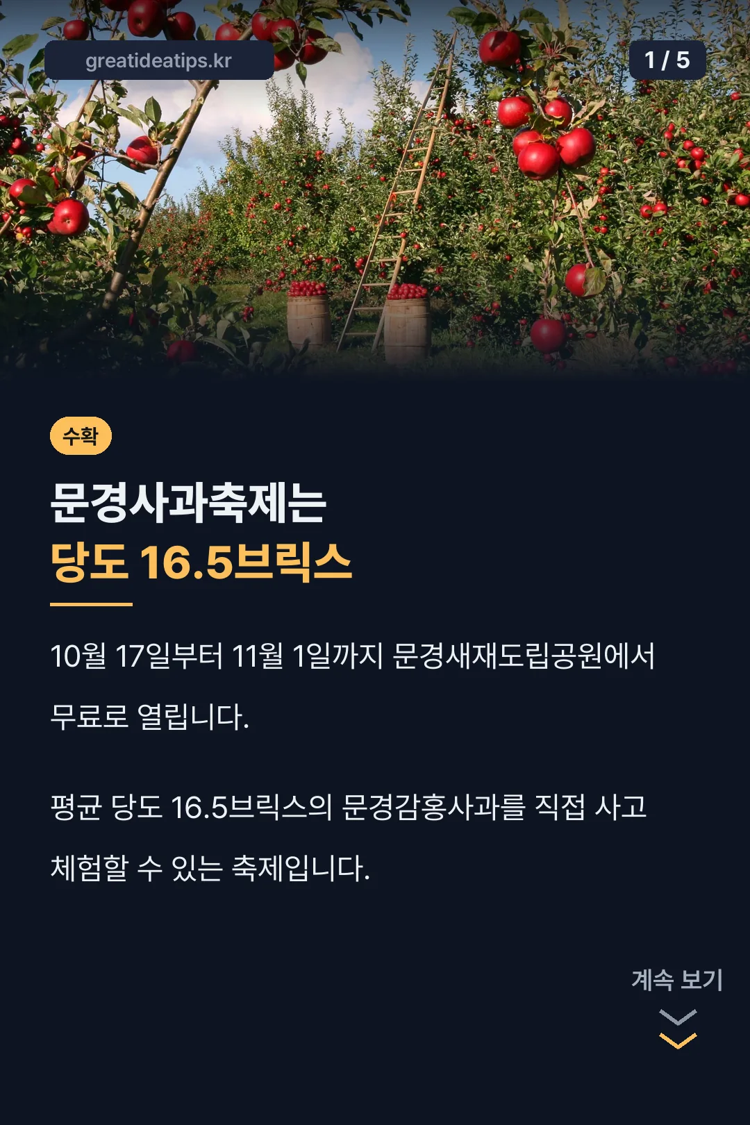 문경사과축제 핵심 정리