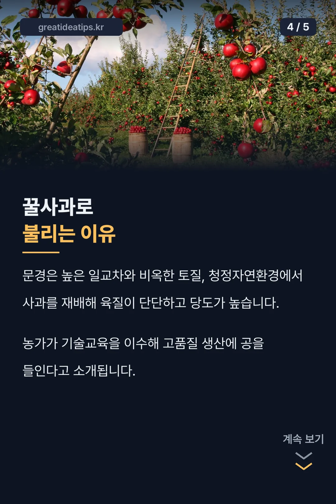 꿀사과로 불리는 이유