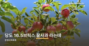 문경사과축제 — 10월 17일부터 11월 1일까지, 체험 프로그램과 사과 특판 정리
